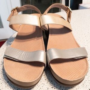 🔥SOFTWALK SANDALS🔥